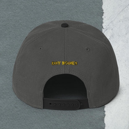 Logo Snapback Hat